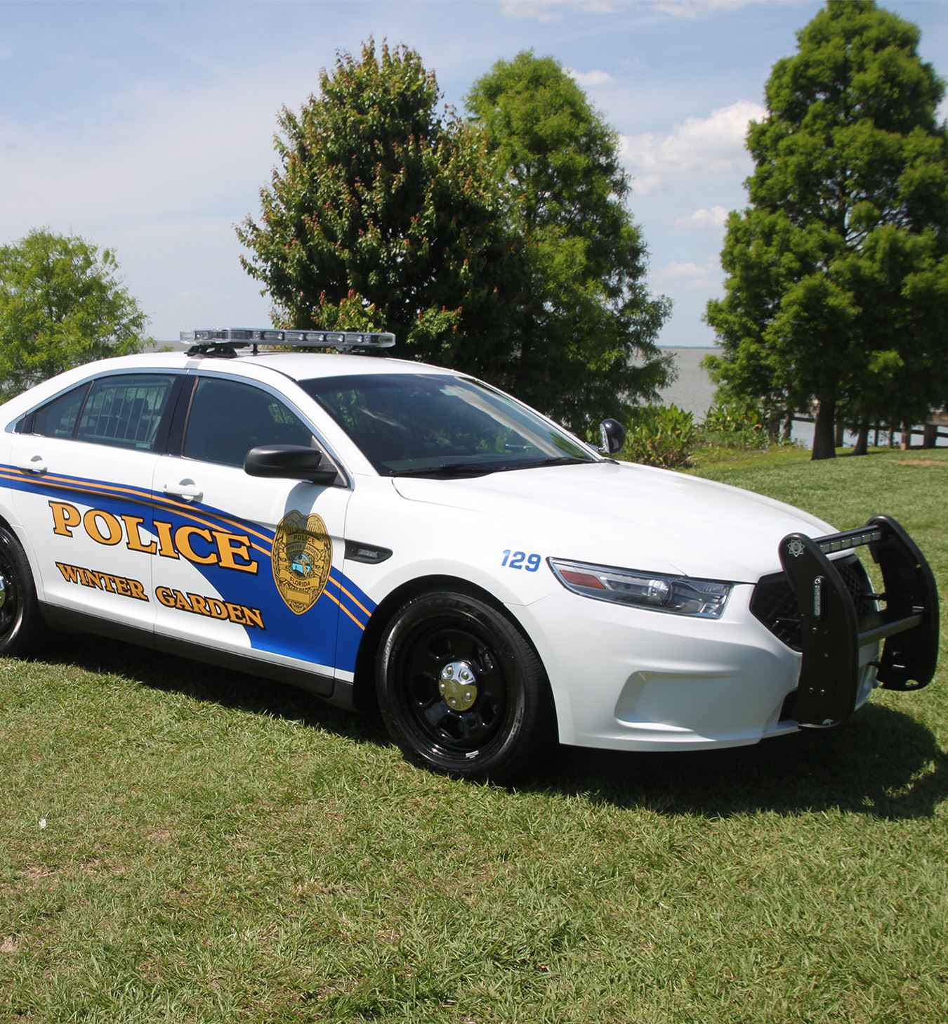 Police Vehicle Parked in Front of Trees