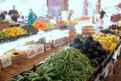 Farmers Market Vegetables