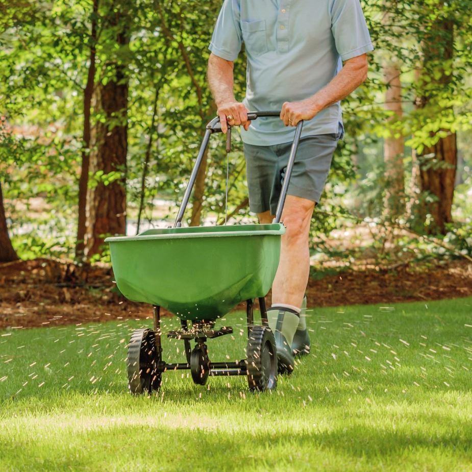 Man Fertilizing Lawn 